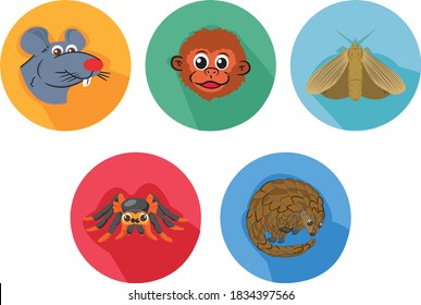 Cartoon Animals Icon Bundle with mouse, monkey, moth, tarantula, pangolin