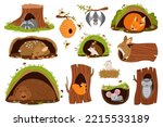 Cartoon animals inside burrow. Set of cute owl, fox, mouse, rabbit, bear, deer, squirrel, raccoon sleeping in holes or trees burrows during winter hibernation. Flat vector illustration