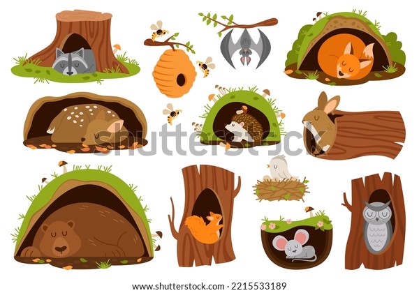 Cartoon
animals inside burrow. Set of cute owl, fox, mouse, rabbit, bear,
deer, squirrel, raccoon sleeping in holes or trees burrows during
winter hibernation. Flat vector
illustration