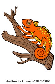 Cartoon animals for kids. Little cute orange chameleon sits on the tree branch and smiles.