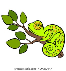 Cartoon animals for kids. Little cute green chameleon sits on the tree branch and smiles.