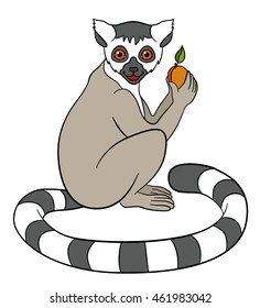 Madagascar Lemur Stock Illustrations, Images & Vectors | Shutterstock