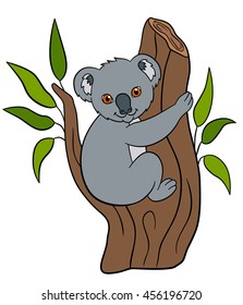 Cartoon animals. Little cute baby koala sits on the tree branch and smiles.