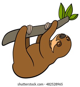 Cartoon animals. Little cute baby sloth hangs on the tree branch and smiles.