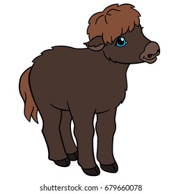 Cartoon animals. Little cute baby yak stands and smiles.