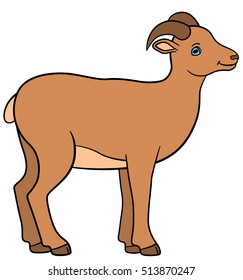 Cartoon animals. Little cute lady urial stands and smiles.