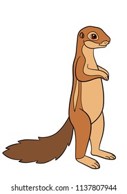 Cartoon animals. Little cute xerus stands and smiles.