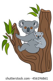 Cartoon animals. Mother koala sits with her little cute baby on the tree branch and smiles.