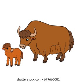 Cartoon animals. Mother yak with her little cute baby yak.