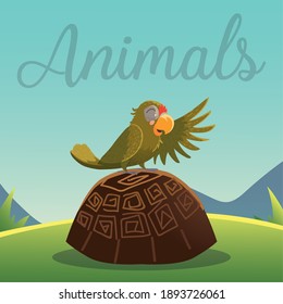 cartoon animals parrot on the turtle in grass nature vector illustration