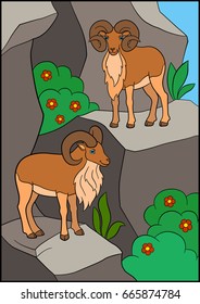 Cartoon animals. Two beautiful urials with great horns stand on the mountain.