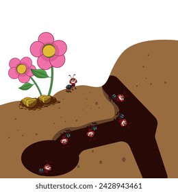 Cartoon ant colony and ant, vector illustration with white background 