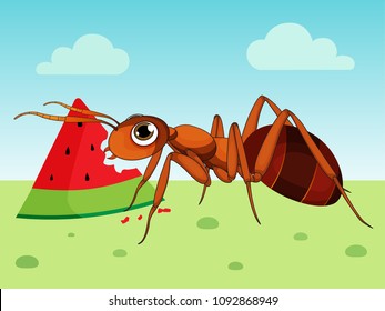 Cartoon Ant Design