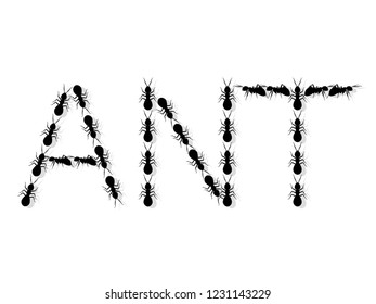 Cartoon Ant Design