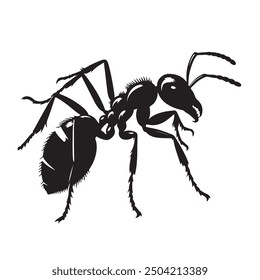 cartoon ant insect . Side view black and white vector illustration