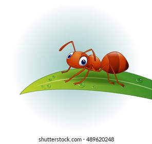 Cartoon ant on the leaf