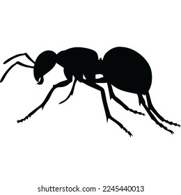 Cartoon ant vector icon  Design vector illustration  Ant vector image Illustration  Illustration ant cartoon white background  Icon insect ant side view profile