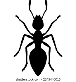 Cartoon ant vector icon  Design vector illustration  Ant vector image Illustration  Illustration ant cartoon white background  Icon insect ant side view profile