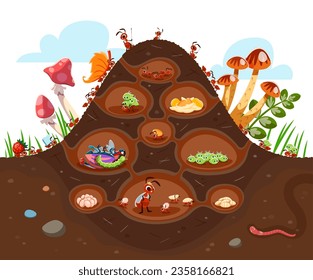 Cartoon anthill colony at soil. Funny ant characters. Isolated vector insects in formicary consisting of tunnels and chambers filled with foods, larvas or aphids. Each ant has specific roles and tasks