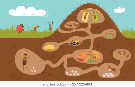 Cartoon anthill illustration. Funny ants underground working and resting. Cartoon anthill illustration, seasonal insects work process classy vector scene