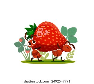 Cartoon ants carry strawberry for food in meadow grass, vector funny insect characters. Happy smiling ants carrying strawberry berry to anthill nest walking among field flowers for child cartoon fun