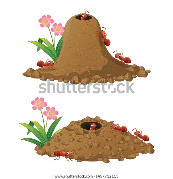 Cartoon ants colony and ant\
hill 