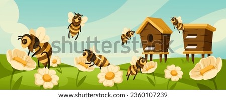 Similar – Image, Stock Photo Beehive from above with many bees