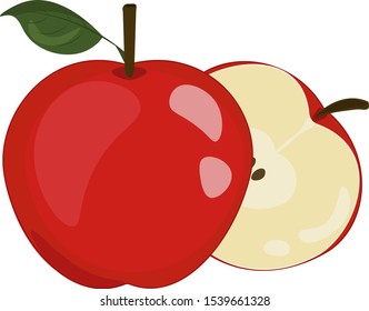 Cartoon apple. Vector illustration. Apple icon on the white background