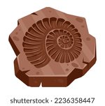 Cartoon archeology ammonite fossil, ancient seashell. Palaeontology ocean fauna print, archeology excavation ammonite artefact flat vector illustration on white background