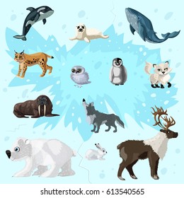 Cartoon arctic fauna set with different polar and snowy animals on ice background isolated vector illustration