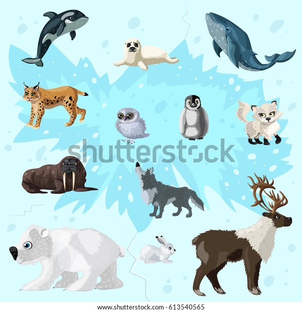 Cartoon Arctic Fauna Set Different Polar Stock Vector (Royalty Free ...