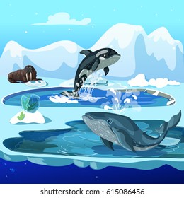 Cartoon arctic fauna template with walrus orca and whale on winter ice snowy landscape vector illustration