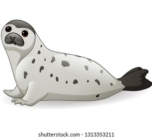 Cartoon Arctic Seal Isolated On White Stock Vector (Royalty Free ...