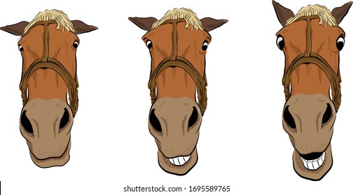  Cartoon art. The horse head. Surprised. Three positions.