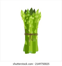 cartoon asparagus flat vector illustration isolated on white background. bunch of green asparagus tied with a rope