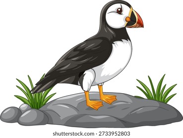 A cartoon Atlantic puffin stands on a grey rock with grass tufts on white background