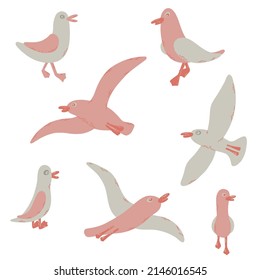 Cartoon atlantic seabird. 7gulls in a vector flat style.