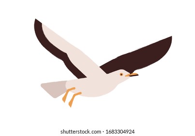 Cartoon atlantic seabird flying isolated on white background. Colored cute seagull vector flat illustration. Beautiful marine bird enjoying freedom. Adorable winged creature. Colorful wild gull