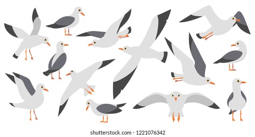 Cartoon atlantic seabird, seagulls flying on isolated white background. Sea, Ocean, Gull, bird set in a vector flat style. Big oceangull pack 