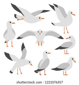 Cartoon atlantic seabird, seagulls flying on isolated white background. Sea, Ocean, Gull, bird set in a vector flat style
