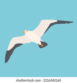 Cartoon atlantic seabird, seagulls flying on isolated white background. Sea, Ocean, Gull, bird in a vector flat style