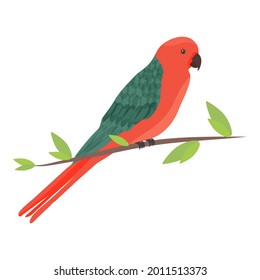 Cartoon Australian king parrot, Alisterus scapularis, in a flat style. 