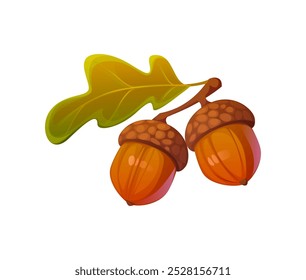 Cartoon autumn acorns attached to a green oak leaf, small, nut-like brown seeds from oak trees, feature a cap. Isolated vector fallen forest foliage, woodland plant, symbolizes growth, cycle of life