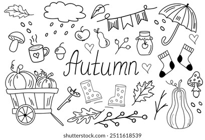 Cartoon autumn doodle icons set isolated on white background. Hand drawn lettering autumn. Pumpkin, mushrooms, autumn leaves, umbrella, warm socks, autumn fruits. Line art.