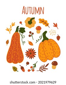 Cartoon Autumn element set. Hand drawn vector Pumpkin, falling leaves, acorn, mushrooms and berries. Fall season, Harvest, Thanksgiving Day collection for sticker, postcard, greeting card, invitation