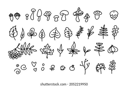 Cartoon autumn elements set. Bundle - mushrooms, acorns, oak and maple leaves, branches, berries,rowan for kids. Vector illustration isolated on white background for for coloring book or woodburning.