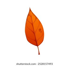 Cartoon Herbstblatt, die lebendige Farben des Herbstes. Ein isoliertes Vektor helles orangefarbenes Blatt vermittelt ein warmes und gemütliches Gefühl, das den Wechsel der Jahreszeiten symbolisiert. Bunte natürliche gefallene Baumblätter