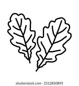 Cartoon autumn maple leaves line art icon isolated on a white background.	