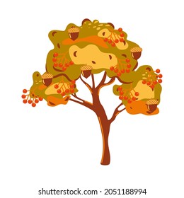 Cartoon autumn tree with acorns and red berries isolated on white background. Vector illustration of a tree.