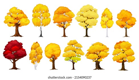 Cartoon autumn tree, fall season forest. Isolated vector plants with yellow, orange and red foliage. Birch, oak, maple or elm with bright colorful leaves in park, garden or wood, seasonal defoliation